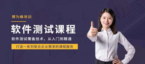 南京軟件測試與開發(fā)培訓(xùn)指南 機構(gòu)選擇與行業(yè)展望
